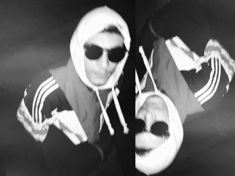 Vaybez Sahbi (Single)