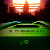 Too Fast StoneBridge Remix (EP)