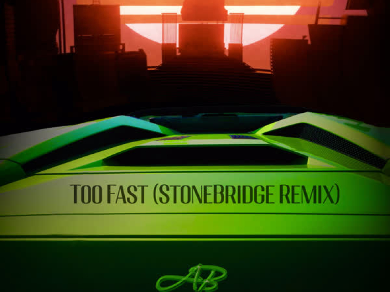Too Fast StoneBridge Remix (EP)