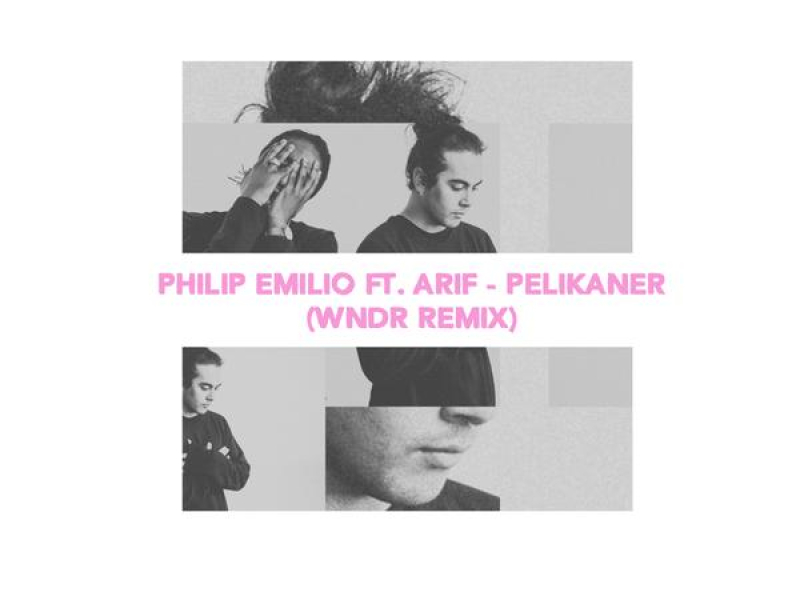 Pelikaner (WNDR Remix) (Single)