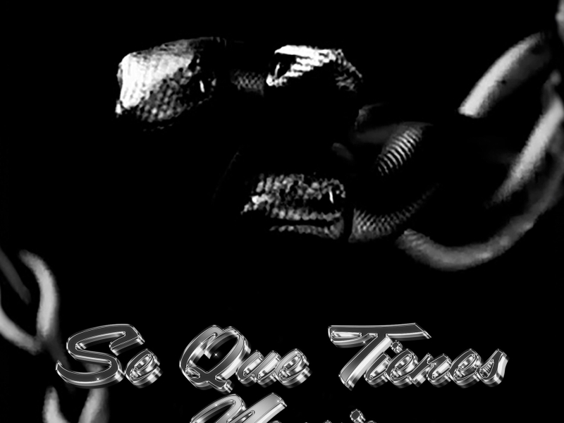 Se Que Tienes Novio (Single)