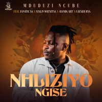 Nhliziyo Ngise (Single)