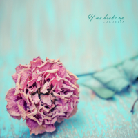 If we break up (Single)