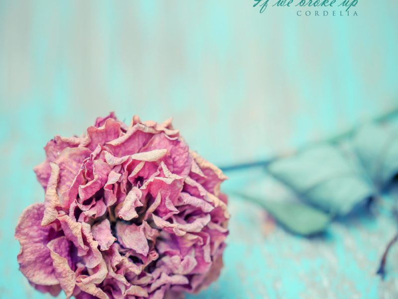 If we break up (Single)