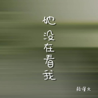 她没在看我 (Single)