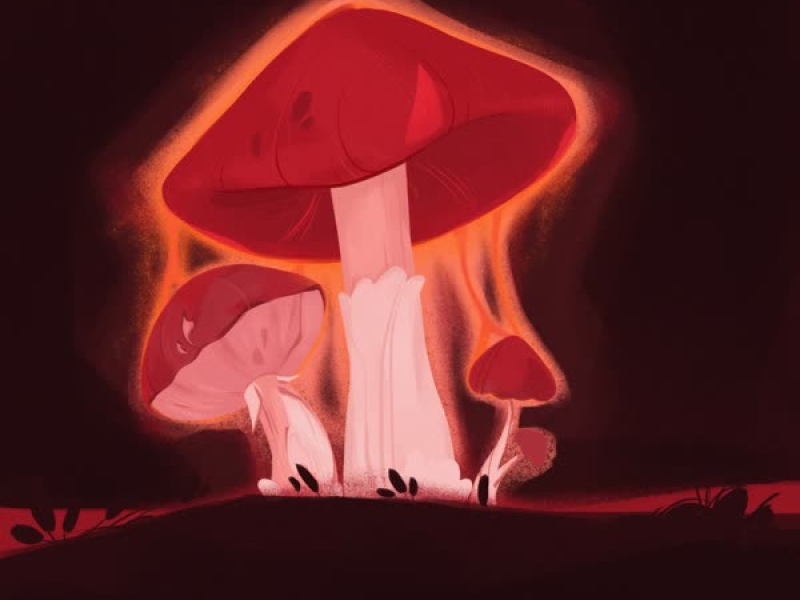 Magic Mushrooms (Single)