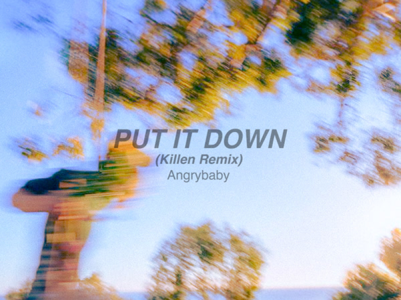 PUT IT DOWN (Killen. Remix) (Single)