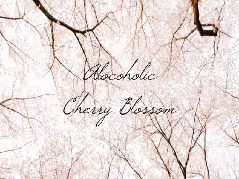 Cherry Blossoms Rain (Single)