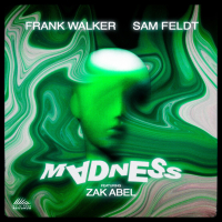 Madness (Single)