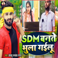 SDM Bante Bhula Gailu (Single)