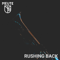 Rushing Back (Single)