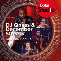 Can You Feel It (Coke Studio South Africa: Season 1) (Single)