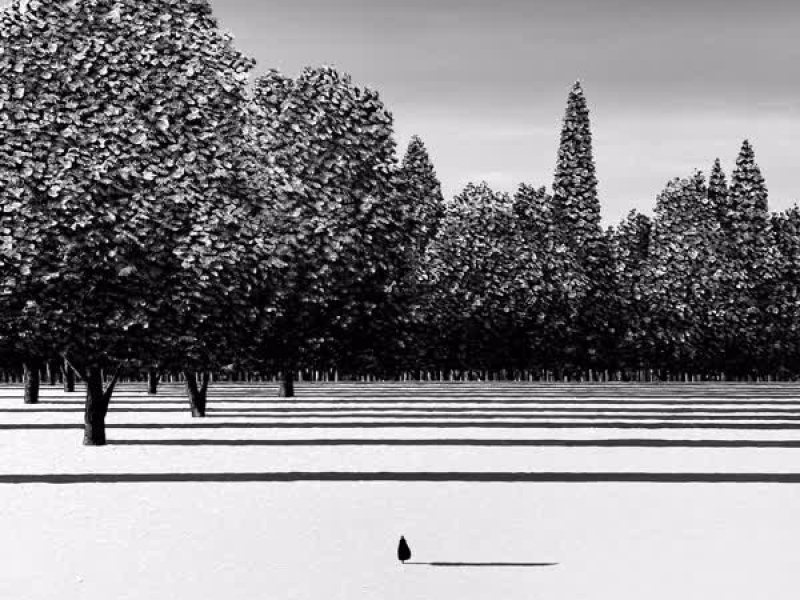 Reflection (Original Soundtrack) (EP)