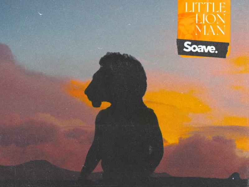 Little Lion Man (Single)