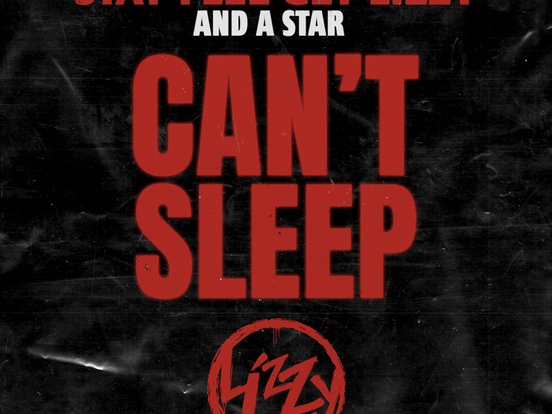 Can't Sleep (Single)