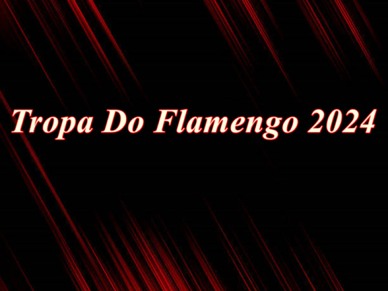 Tropa Do Flamengo 2024 (Single)