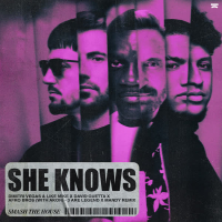 She Knows (with Akon) (3 Are Legend x MANDY Remix) (EP)