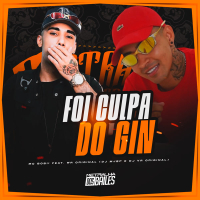 Foi Culpa do Gin (Single)