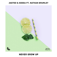 Never Grow Up (Single)