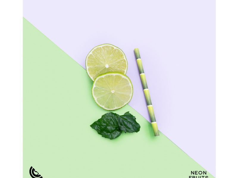 Never Grow Up (Single)