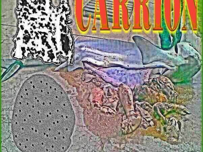 CARRION