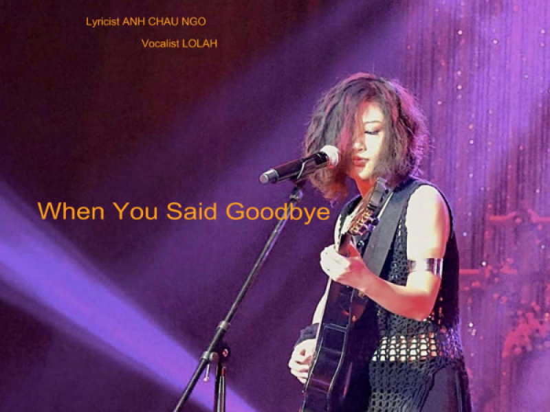 When You Said Goodbye (Single)
