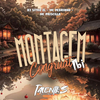 MONTAGEM CONGRUAT IBI (Single)