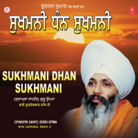 Sukhmani Dhan Sukhmani