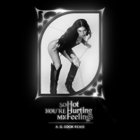 So Hot You're Hurting My Feelings (A. G. Cook Remix) (Single)