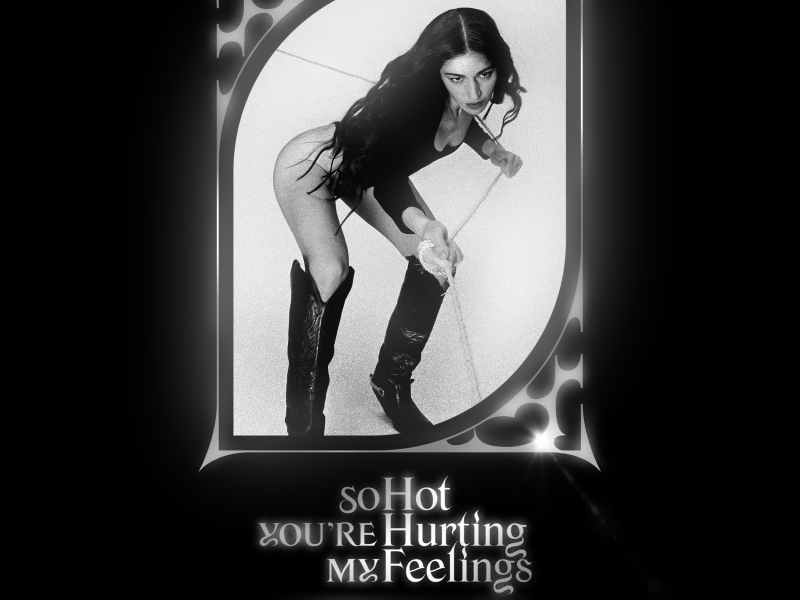 So Hot You're Hurting My Feelings (A. G. Cook Remix) (Single)