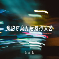 我怕你离开后过得太苦 (Single)