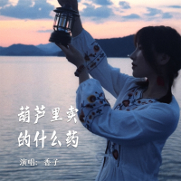 葫芦里卖的什么药 (EP)