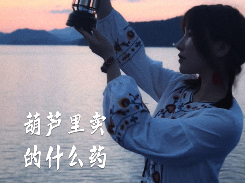 葫芦里卖的什么药 (EP)