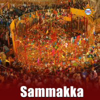 Sammakka (Single)