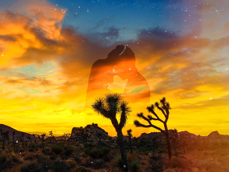 Missing You (feat. Abby) [Robert Cristian Remix] (Single)