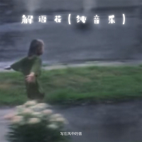 解语花 (纯音乐) (Single)