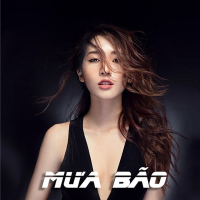 Mưa Bão (Single)