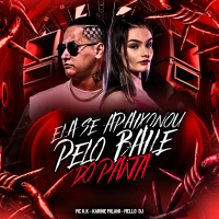 Ela se Apaixonou pelo Baile do Panta (Single)