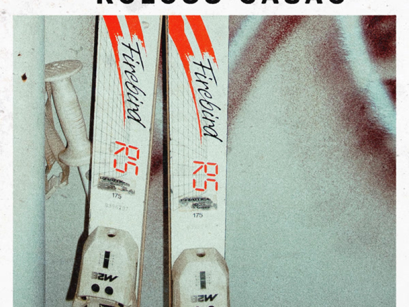 Didier Cuche (Single)