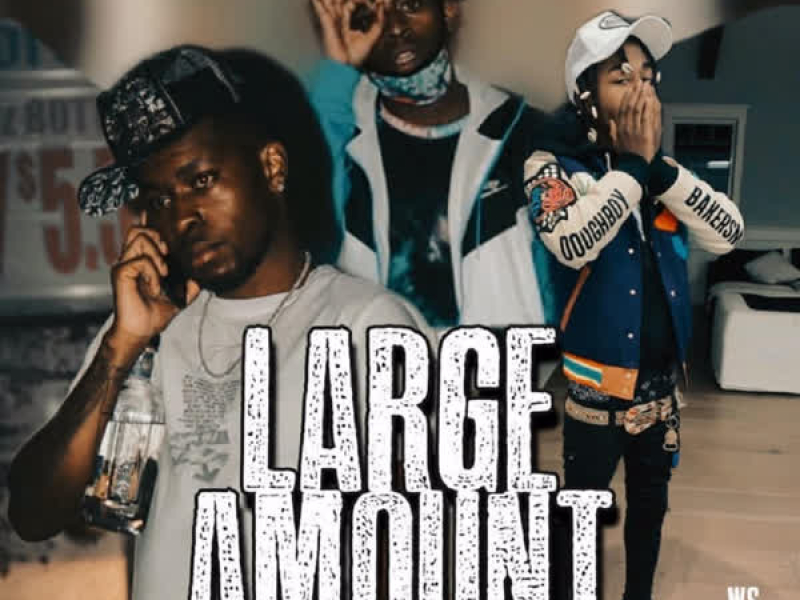 Large Amount (feat. Yn Jay & Zay Hilfiger) (Single)