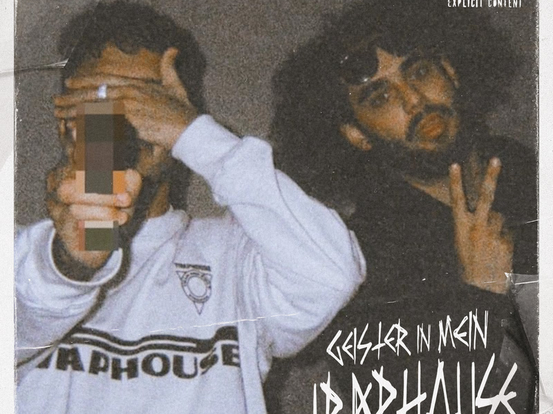 GEISTER IN MEIN TRAPHOUSE (Single)