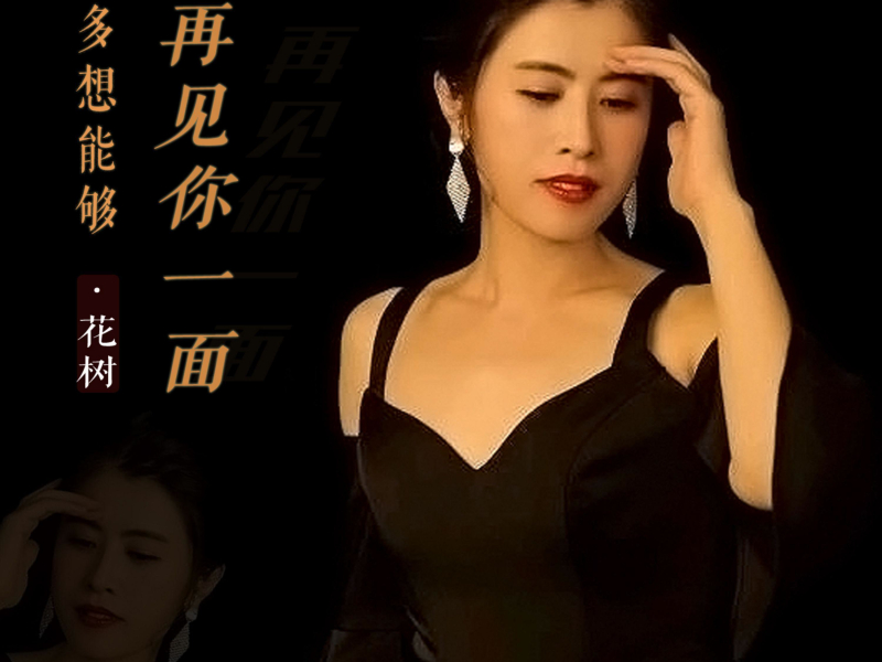 多想能够再见你一面 (EP)