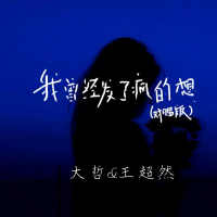 我曾经发了疯的想 (对唱版) (Single)