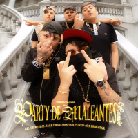 PARTY DE MALEANTES (RMX) (Single)