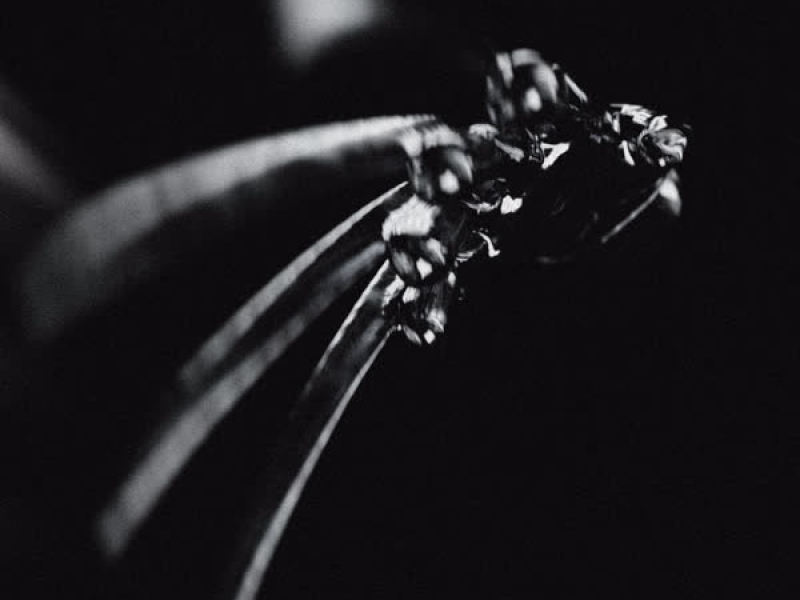 Freddy Krueger (Single)