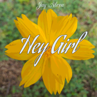 Hey Girl (Single)