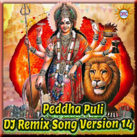 Peddha Puli (DJ Remix Song Version 14) (Single)