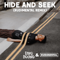 Hide And Seek (Rudimental Remix) (Single)
