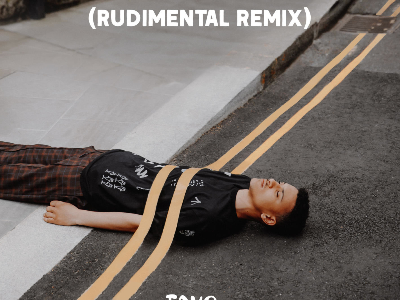 Hide And Seek (Rudimental Remix) (Single)