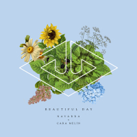 Beautiful Day (Single)